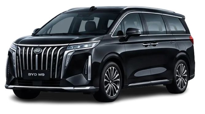 BYD M9